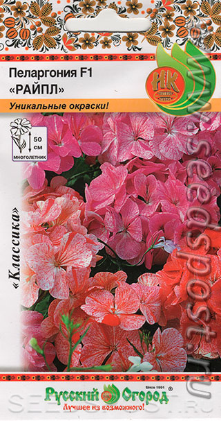 Герань (пеларгония) F1 Райпл, смесь Герань (пеларгония) F1 Райпл, смесь