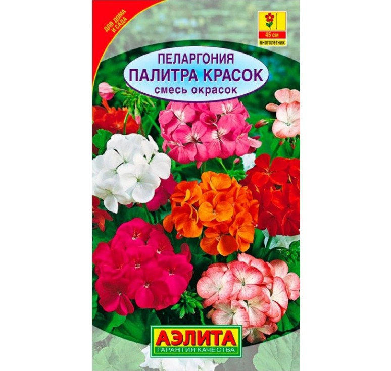 Пеларгония Палитра красок (смесь) Пеларгония Палитра красок (смесь)